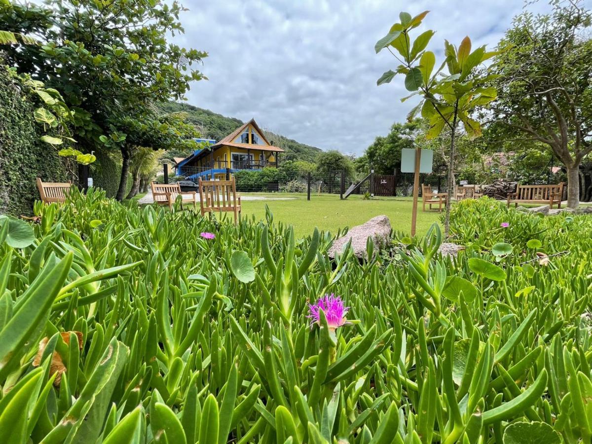 Penareia Floripa