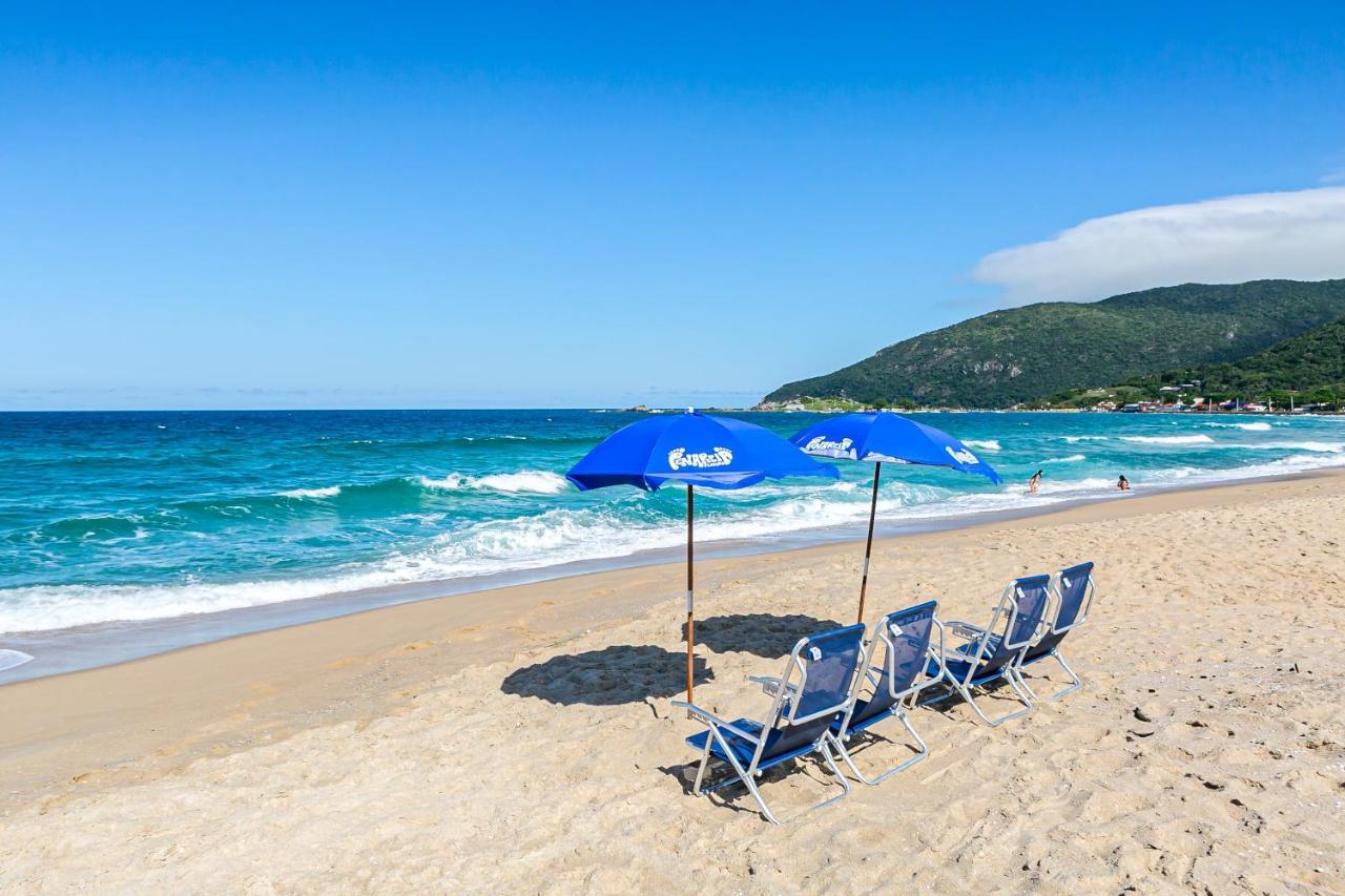 Penareia Floripa